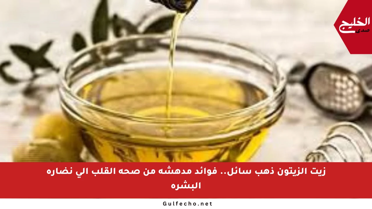 زيت الزيتون ذهب سائل.. فوائد مدهشة من صحة القلب إلى نضارة البشرة